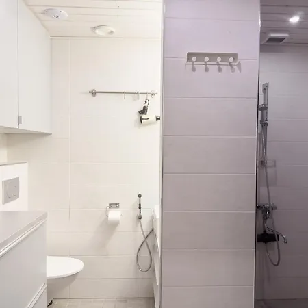 Lapland Aurora * ロヴァニエミ