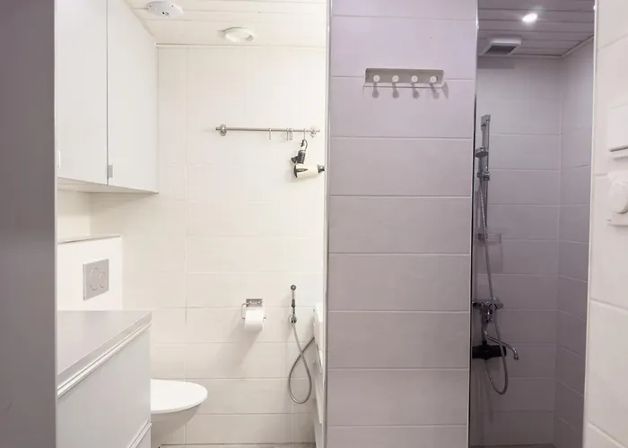 Lapland Aurora * Rovaniemi